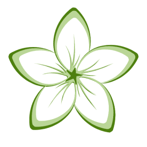 Discover Your Bali favicon